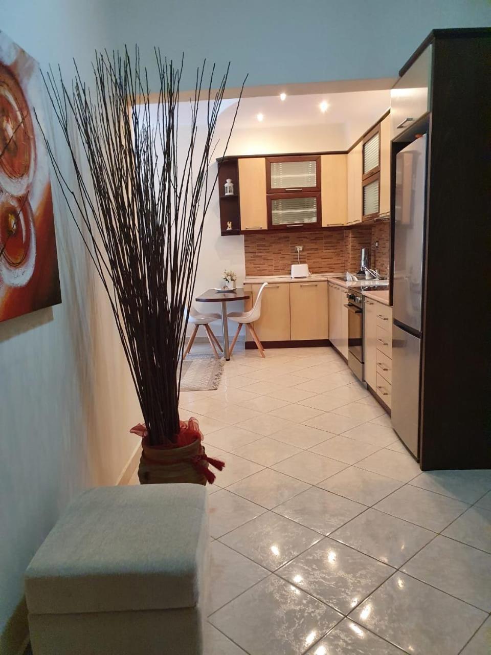 Sofia'S Modern Apartment Gjirokastra Zewnętrze zdjęcie