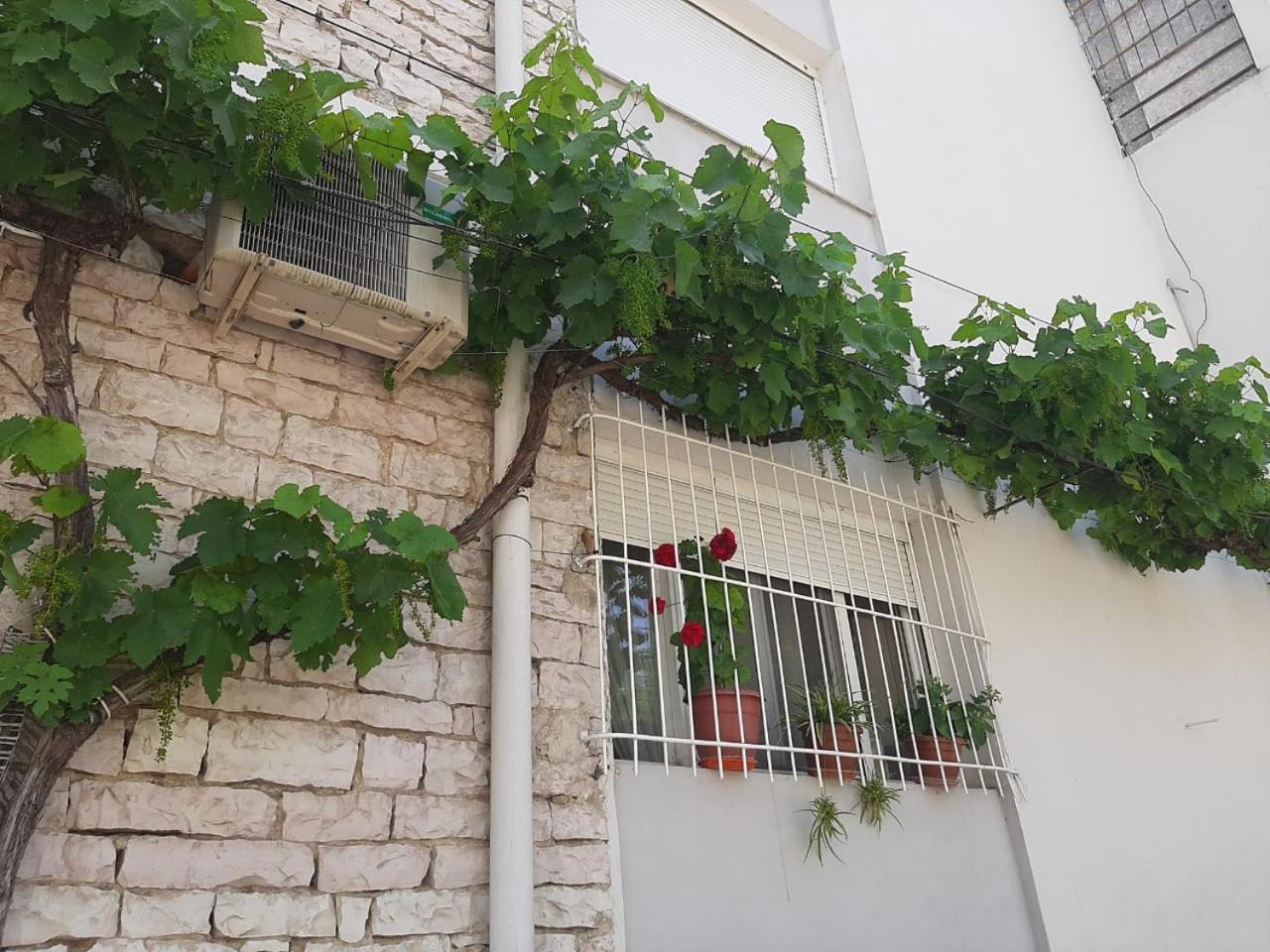 Sofia'S Modern Apartment Gjirokastra Zewnętrze zdjęcie